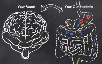 Why the Gut-Brain Connection Keeps You Happy