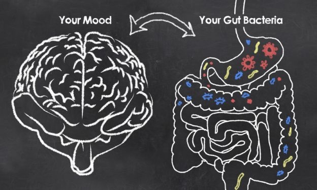 Why the Gut-Brain Connection Keeps You Happy
